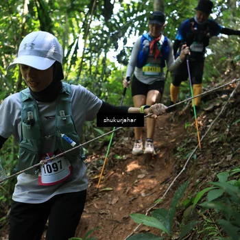 Runner Photo 5505763