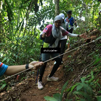 Runner Photo 5505778