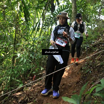 Runner Photo 5505854