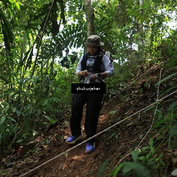 Runner Photo 5505859