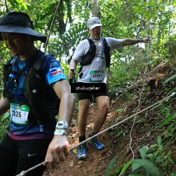 Runner Photo 5505865