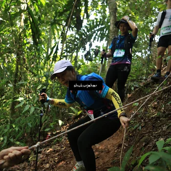 Runner Photo 5505873