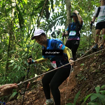 Runner Photo 5505878