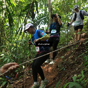 Runner Photo 5505881