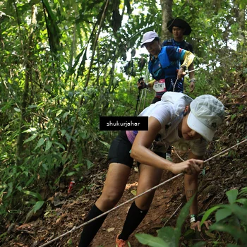 Runner Photo 5505884