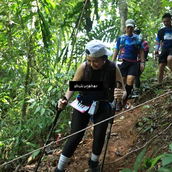 Runner Photo 5505919