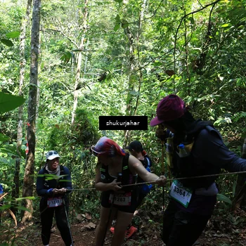 Runner Photo 5505948