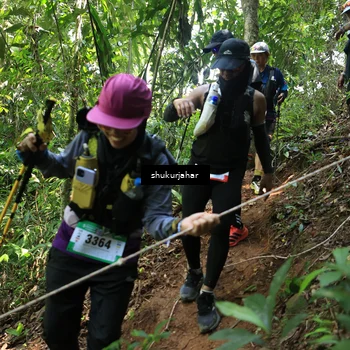Runner Photo 5505958