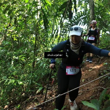 Runner Photo 5505986