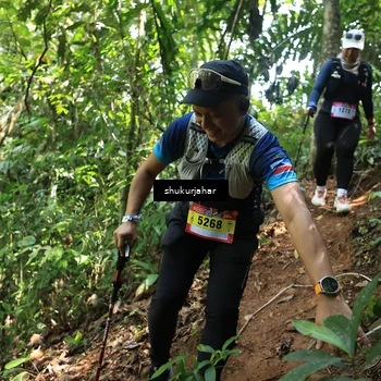 Runner Photo 5505999