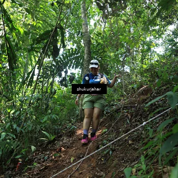 Runner Photo 5506020