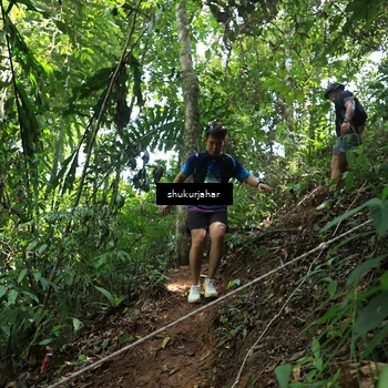 Runner Photo 5506071