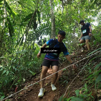 Runner Photo 5506073