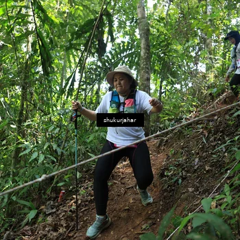 Runner Photo 5506140