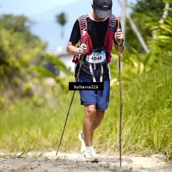 Runner Photo 5506571