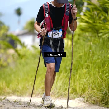 Runner Photo 5506588