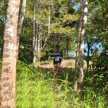 Runner Photo 5507