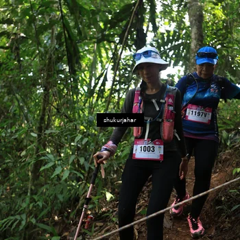 Runner Photo 5507400