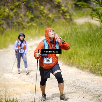 Runner Photo 5507805