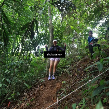 Runner Photo 5509578