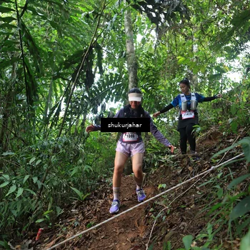 Runner Photo 5509581