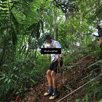 Runner Photo 5509610