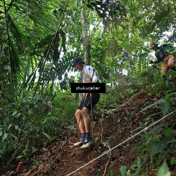 Runner Photo 5509611