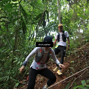 Runner Photo 5509634
