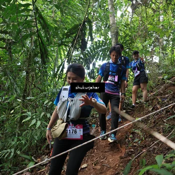 Runner Photo 5509718
