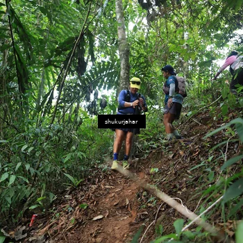 Runner Photo 5509774