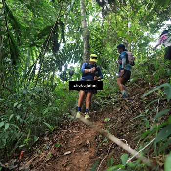 Runner Photo 5509775