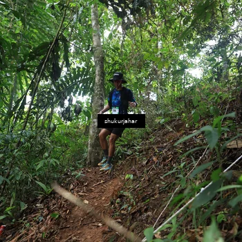Runner Photo 5509861