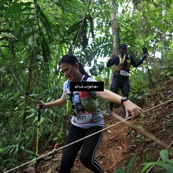 Runner Photo 5509885