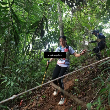 Runner Photo 5509897