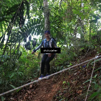Runner Photo 5510852