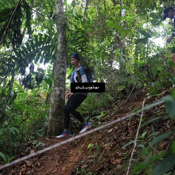 Runner Photo 5510855