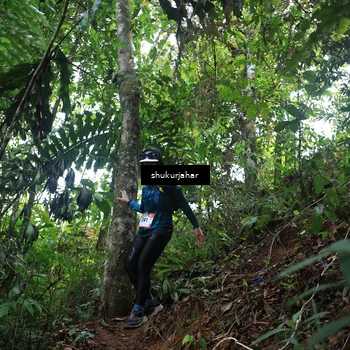 Runner Photo 5510923