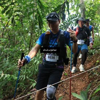 Runner Photo 5510998