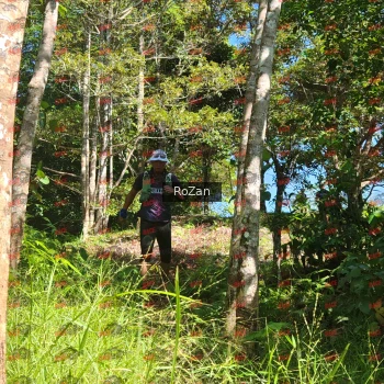 Runner Photo 5511