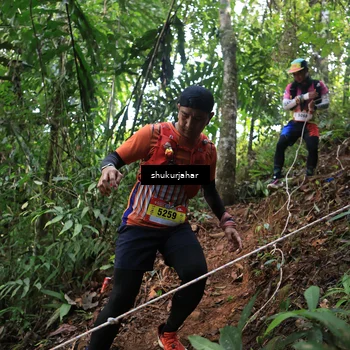 Runner Photo 5511086
