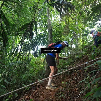 Runner Photo 5511229