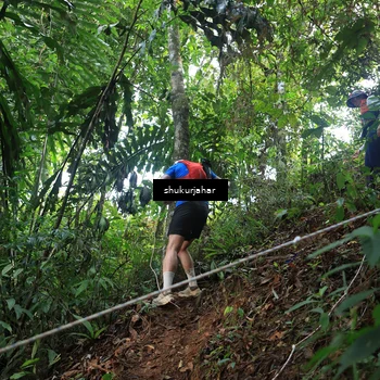 Runner Photo 5511233