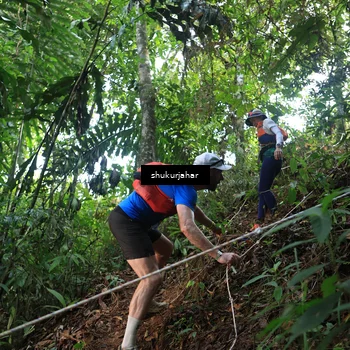Runner Photo 5511234