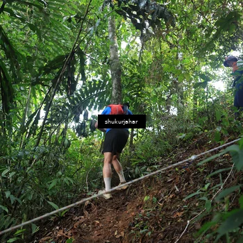 Runner Photo 5511235