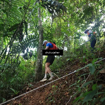 Runner Photo 5511236
