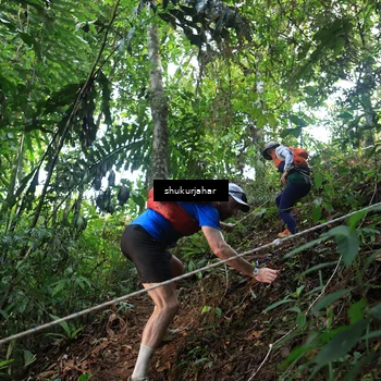Runner Photo 5511243