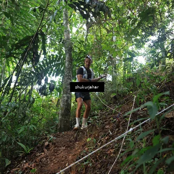 Runner Photo 5511250