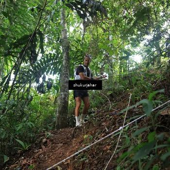 Runner Photo 5511251