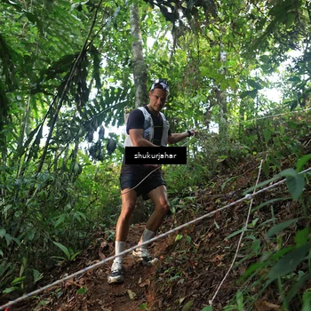 Runner Photo 5511259