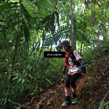 Runner Photo 5511261
